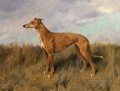 Henrietta Horn Un Greyhound Arthur Wardle Chien